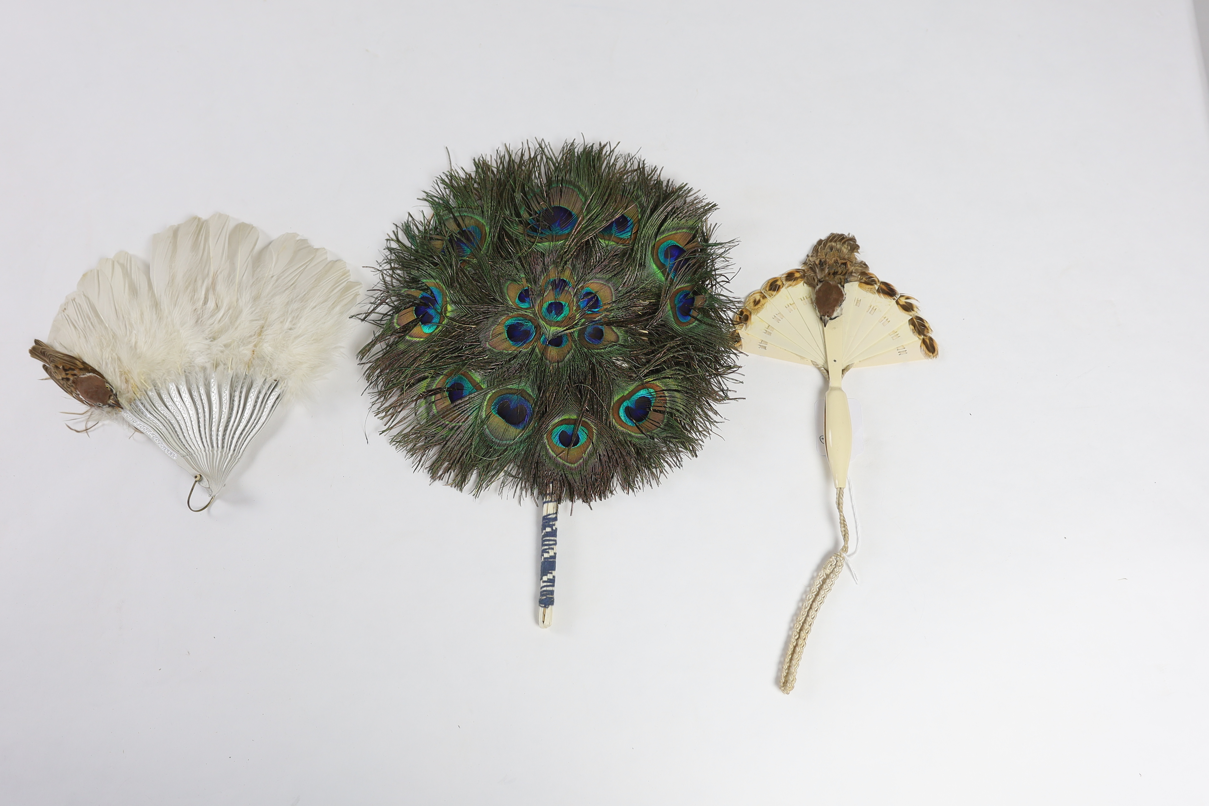 Two Edwardian early 1920’s feather fans with unusual bird decoration together with a peacock fan, one with cream Bakelite handle and guards, feather leaf and bird decoration, the other with silver painted guards, feather